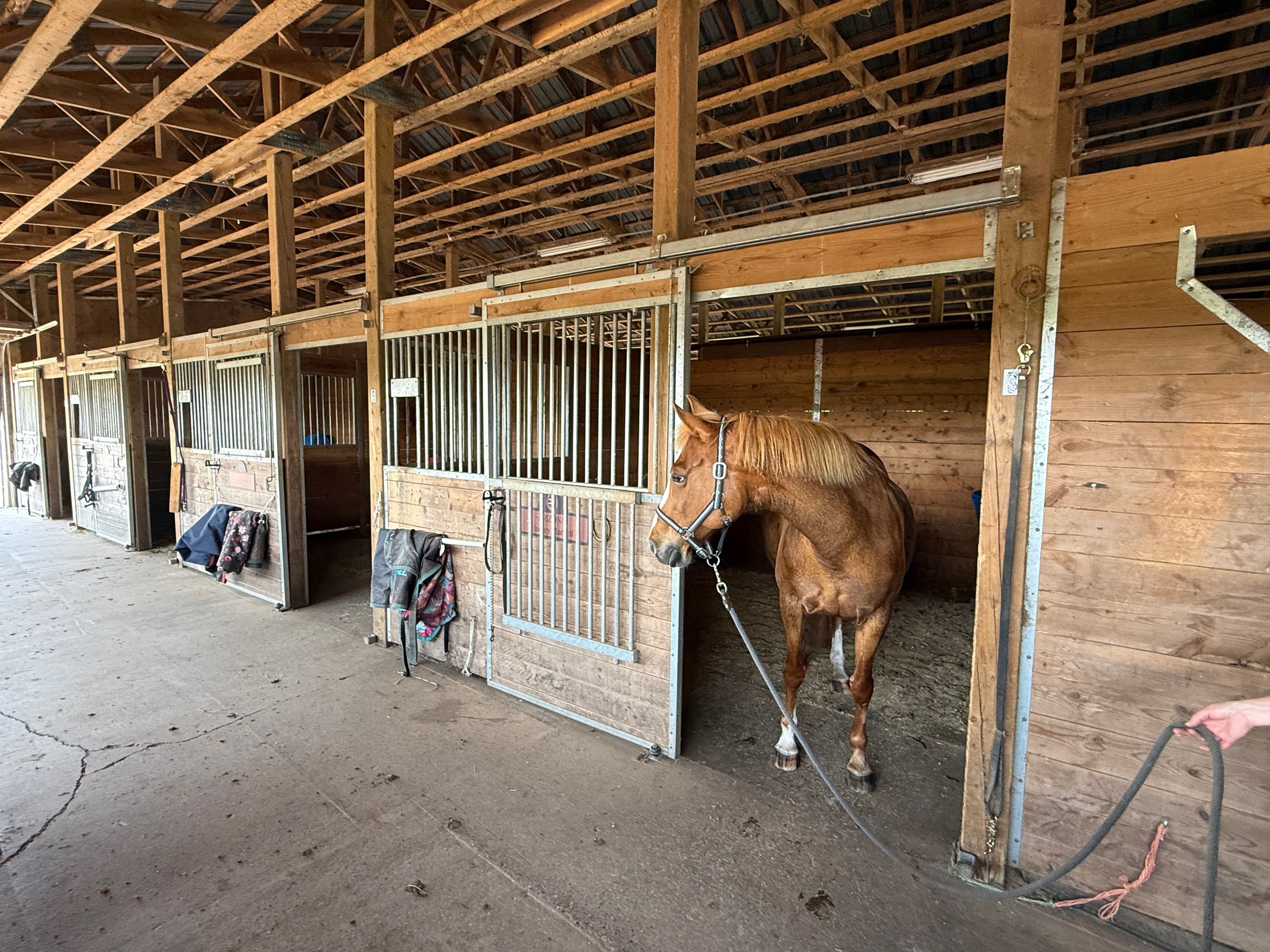withers-stall-1.jpg