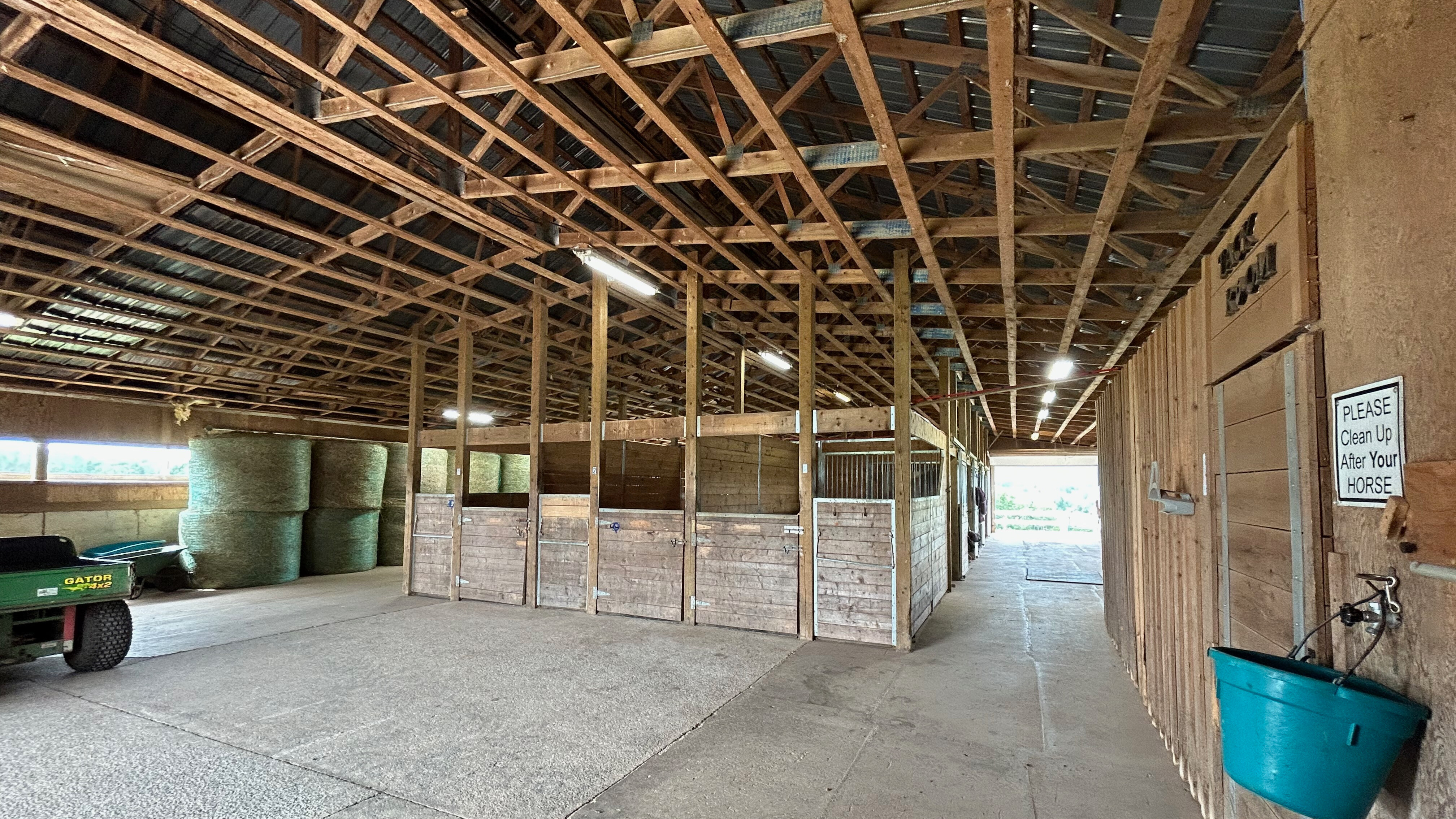 inside-withers.jpg
