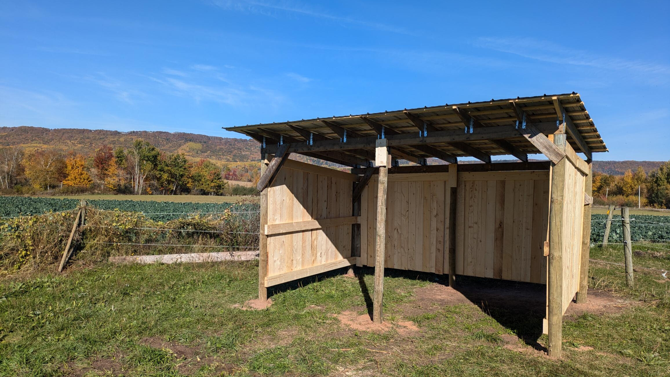 outdoor-shelter
